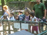dsc03307.jpg