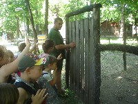 dsc03313.jpg