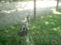 dsc03314.jpg