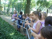 dsc03322.jpg