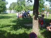 dsc03325.jpg