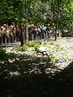 p1190215.jpg