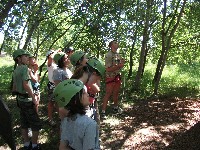 dscf6201.jpg