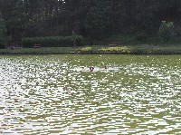 p1010073.jpg