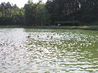 p1010081.jpg