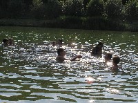 p1010093.jpg