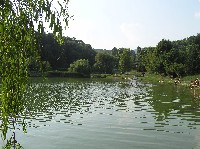p1010096.jpg