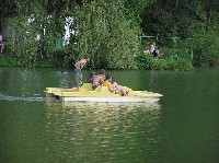 p1010105.jpg