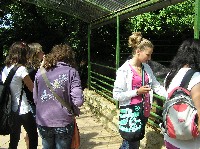 p1010143.jpg
