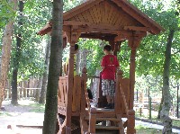 p1010155.jpg