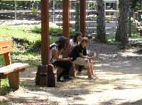 p1010156.jpg