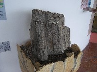 p1010230.jpg