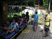 p1010245.jpg