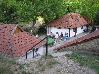 p1010253.jpg