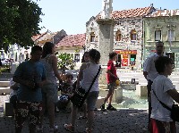 p1010308.jpg