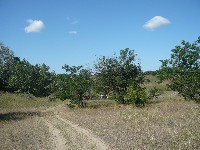 p1190730.jpg