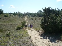 p1190733.jpg