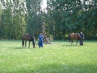p1190903.jpg