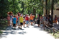 dsc_0235.jpg