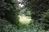 dsc_0418.jpg