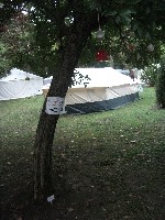 csillagpont_2011_029.jpg