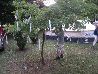 csillagpont_2011_030.jpg