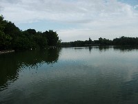 csillagpont_2011_120.jpg