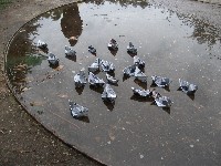 csillagpont_2011_131.jpg
