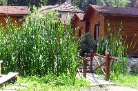 40_ves_071.jpg