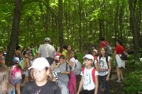 40_ves_239.jpg