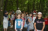 40_ves_240.jpg