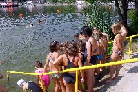 40_ves_575.jpg