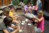 40_ves_793.jpg