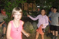 40_ves_930.jpg