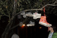40_ves_954.jpg