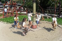 40_ves_991.jpg