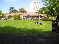p1010036.jpg