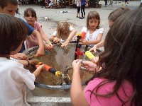 2011_projekt_h_t_138.jpg