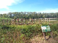 2011_projekt_h_t_222.jpg