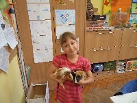 dsc00352.jpg