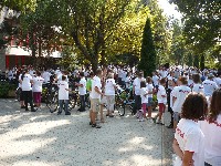 p1200411.jpg