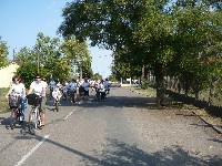 p1200532.jpg