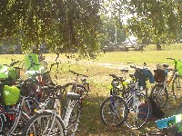 dsc03540.jpg