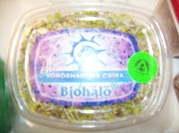 100_9093.jpg