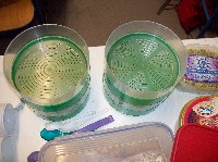100_9094.jpg