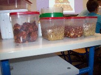 100_9095.jpg