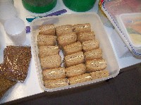 100_9096.jpg