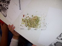 100_9103.jpg