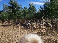 100_9174.jpg
