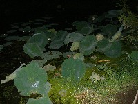 dscf1400.jpg